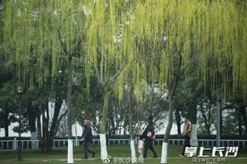春天的橘子洲能有多美图片