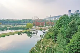 芜湖：湿地公园生态美图片