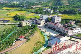 种好致富树 壮大“沉香镇”图片
