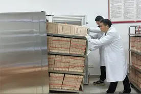 嘉禾县档案馆：新科技让旧档案焕发生机图片