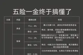 5分钟看懂社保公积金图片