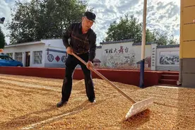 彬州市北极镇：“藏粮于地藏粮于技”守护群众粮袋子图片