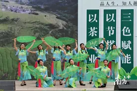 约起！2024连山禾洞第四届“茶香节”15日开启，邀您喝杯“禾洞茶”图片