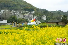 浙江乡村拼创意“走花路” 掘金“春花经济”图片