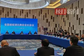 共话楚商高质量发展！全国省级湖北商会会长会议在天津举行图片
