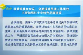 区委常委会会议：全面提升民族工作质效 不断加强红十字特色品牌建设视频封面