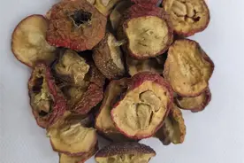 常用中药100味|山楂：酸甜入药，养生有道图片