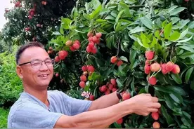 他命名了“仙进奉”！广州增城这位乡土专家上榜省级名单图片