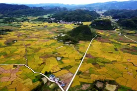 融水积极发展休闲农业 助力乡村振兴图片