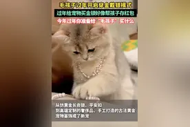 热闻|金锁、平安扣、红绳……宠物饰品节前销售火爆！网友：毛孩子过年也流行“穿金戴银”了图片