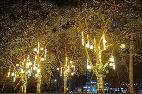 “微网实格”关注社情民意 市政公园“亮”起来图片