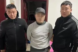男子拉车门盗窃作案多起被刑拘：随机拽车门，拽得开就偷图片