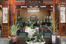 兰花爱好者，来这一次看个够图片