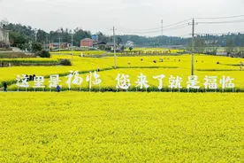 长沙县福临镇：春赏花秋观画 好风景带来好“钱”景图片