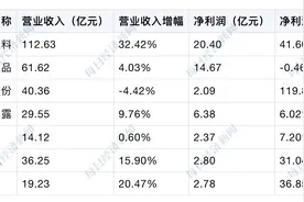 软饮行业2023年年报盘点：功能性饮料增长显著，毛利润集中修复图片