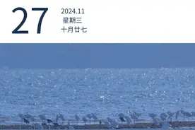 广东史上最长高铁迎来重大进展 | 早安广东图片