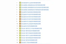 湖北多地发布寒潮、大风、大雾、雷电预警！局地暴雪图片