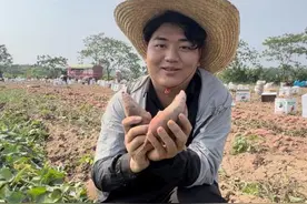 中国新职人｜全进华：流量要用在该用的地方 希望被称为三农博主图片