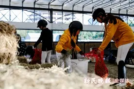 “骑”心协力 让华天来告诉你马房管理有多重要——2024马房管理挑战大赛举行图片