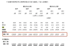 智驾“独角兽”扎堆IPO背后：二级市场挤泡沫，投资人盯紧12个月的现金流图片