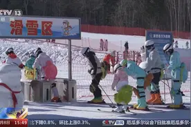 双向奔赴 南北方游客跨地域出行 体验不一样的过年味道图片