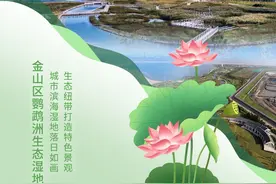节气·大暑丨金山鹦鹉洲生态湿地：落日如画，打造城市特色景观图片