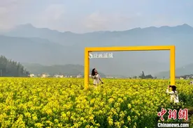 花开福建：油菜花海迎客来图片