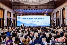 “安吉游戏”如何走向世界？多国专家以对话谋共识图片