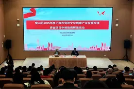“2025年市级文创资金宝山区项目申报辅导会活动”顺利召开图片