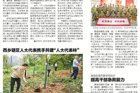 深圳机场T3航站楼登机口和候机面积增量扩容图片
