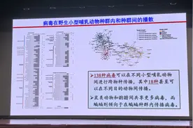 这些刷新人类对宇宙演化、星体形成等认知的前沿研究，入选2023年度复旦大学“十大科技进展”图片