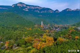灵岩寺秋色，金黄迷人图片