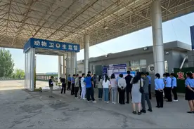 未检疫生猪欲“暗度陈仓”流入市场怎么办？陕西这地检察机关出动了图片