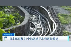 或引发癌症！日本东京都：21个地区地下水有害物超标图片