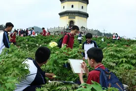 同龢状元府景区——牡丹园图片