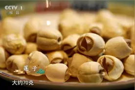 补脾胃、益肠胃 这4个吃藕方你一定要知道图片
