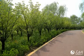 河南洛阳：清水送黄河 生态宜居城图片