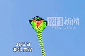 忙趁东风放纸鸢，武汉洪山江滩周末成风筝海洋图片