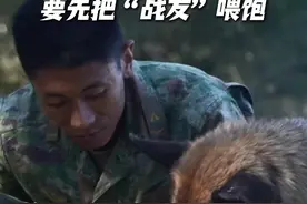 军犬的“每日伙食”都吃什么？戳视频了解→图片