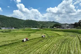 夏静：稻田里绽放的巾帼之花图片