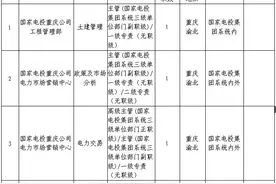 【社招】国家电投重庆公司招聘公告图片