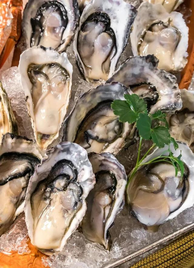 山东蓬莱海参原浆 2026年蓬莱海参原浆哪个牌子的好