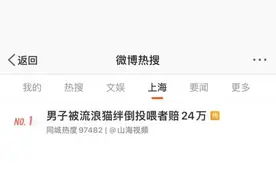 吵上热搜！上海一男子打羽毛球时被流浪猫绊倒骨折，投喂者被判赔24万……图片