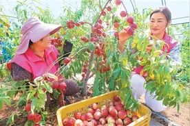 中国加力稳定和扩大就业图片