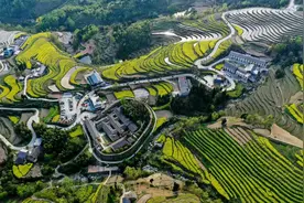 陕西汉阴凤堰梯田入选世界灌溉工程遗产名录图片