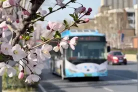 2023年南京交通民生实事，进度100%图片