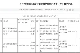 混凝土运输车超载、扬尘防治不到位，长沙6家住建行业企业被曝光图片