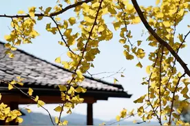 长沙正式入秋！高温还会“返场”吗？图片