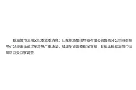 山东能源集团物资有限公司鲁西分公司驻彭庄煤矿分部主任苗忠军接受监察调查图片