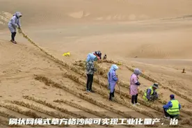 这些治沙“利器”加速“沙变土”图片